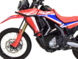 Защитные дуги для Honda CRF 300 Rally Верхние и нижние черные