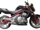 Защитные дуги Heed для Kawasaki Er 6N (2005 - 2008)